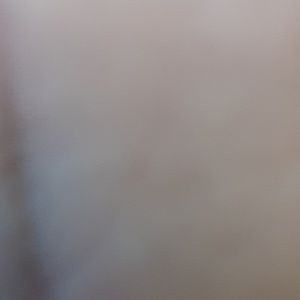 Meet your Posher, Isaiah